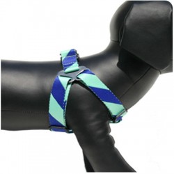 Green & Blue Rugby Stripe Collar, Lead & Harness