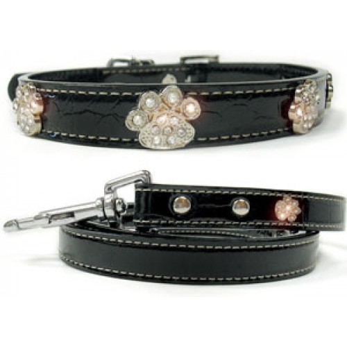 Bella Collection Collar and Leash