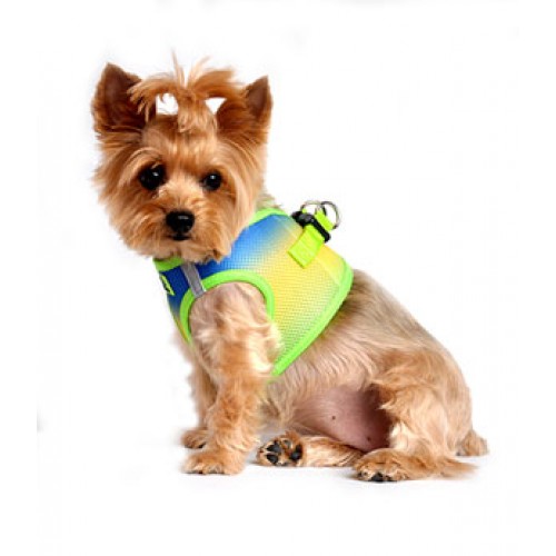 Cobalt Sport American River Dog Harness - Ombre Collection