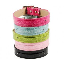 Faux Croc Personalized Two Tier Dog Collar