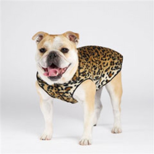 Gold Paw Fleece Dog Jacket in Different Prints!