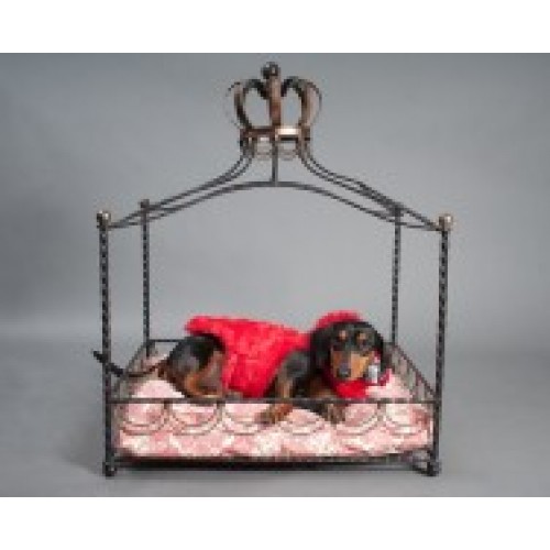 Iron Four Poster Princess Bed for Dogs