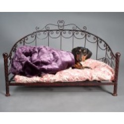 Iron Princess Day Bed for Dogs