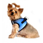 Midnight Sky American River Dog Harness - Ombre Collection