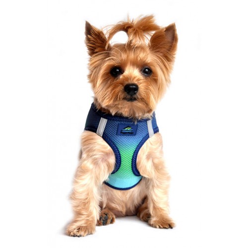 Northern Lights American River Dog Harness - Ombre Collection