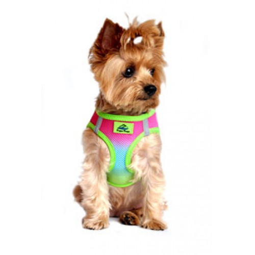Rainbow American River Dog Harness - Ombre Collection