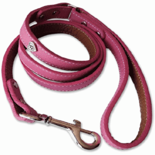 Leather Leashes with Heart Charm