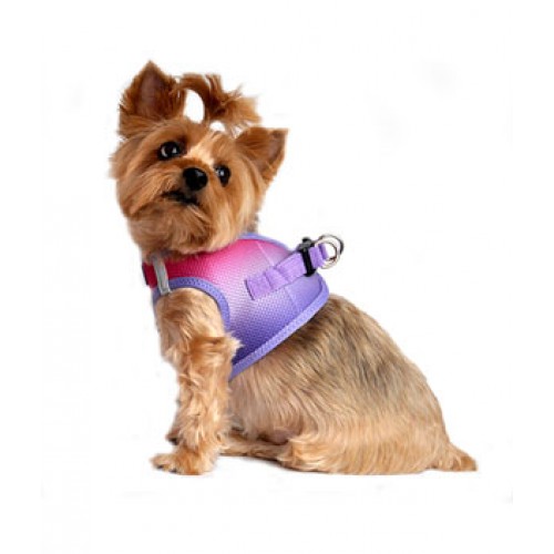 Raspberry Sundae American River Dog Harness - Ombre Collection
