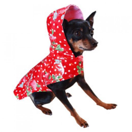Scarlet Raincoat for Dogs