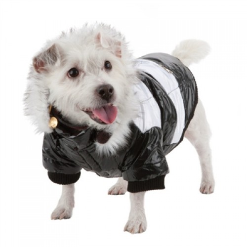 Stylish Black and White Parka for Dogs