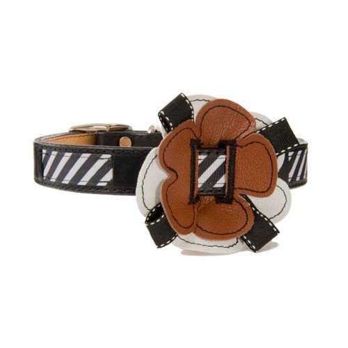 The Signature Sophie Dog Collar ~ Beautiful Leather!