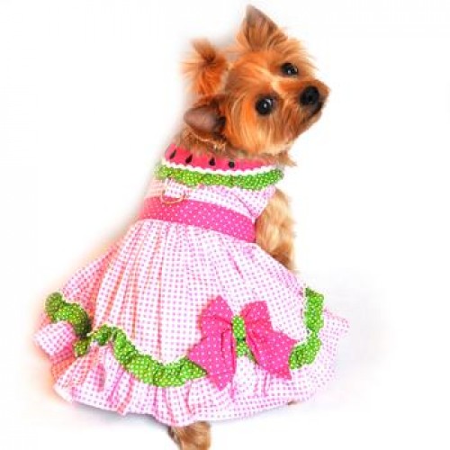 Watermelon Dog Dress