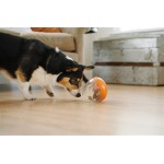 Wobble Ball Enrichment Dog Toy