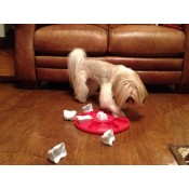 Treat Dispensing Dog Toys
