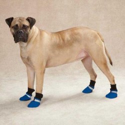 Dog Boots and Shoes